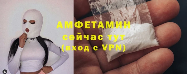 мдпв Бородино