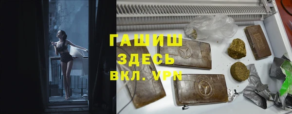 мдпв Бородино