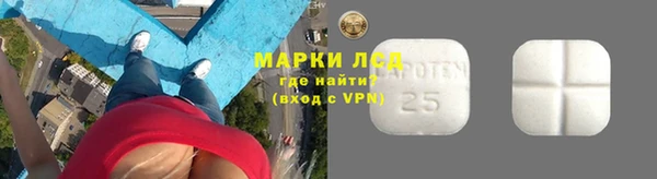 индика Верея