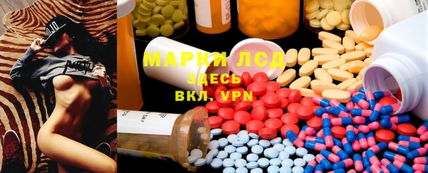 индика Верея