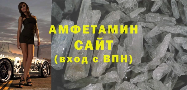 мдпв Бородино