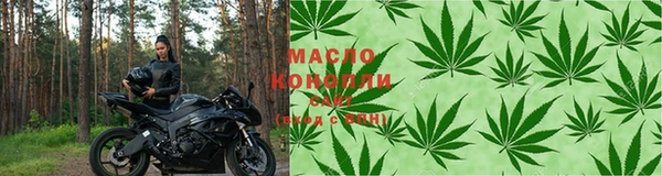 индика Верея