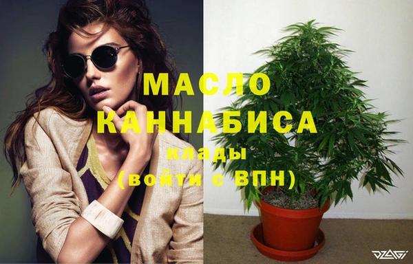 индика Верея